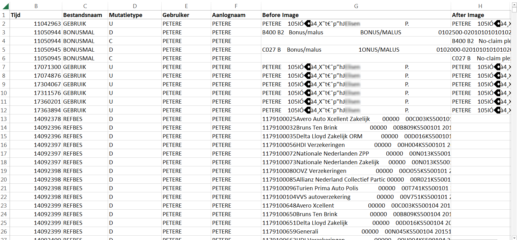 BLC_export logging voorbeeld